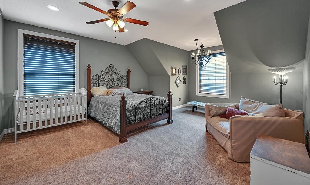 Firewheel Flower - Residential