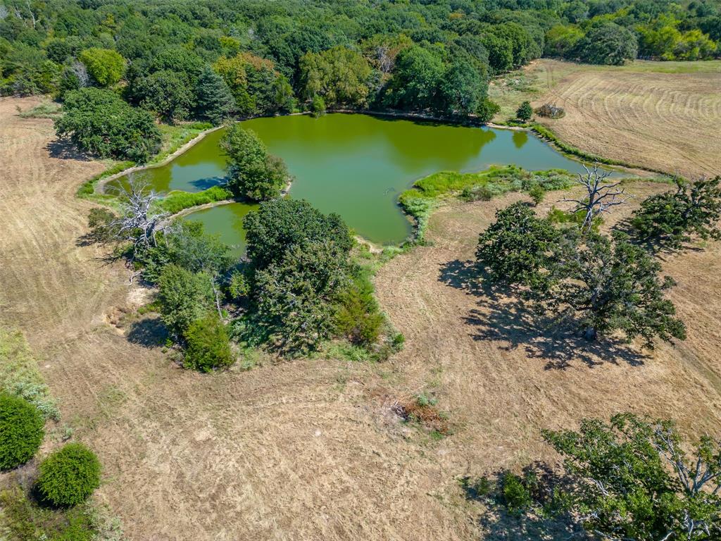 Juana Delgado Surv Abs #276 - Farm