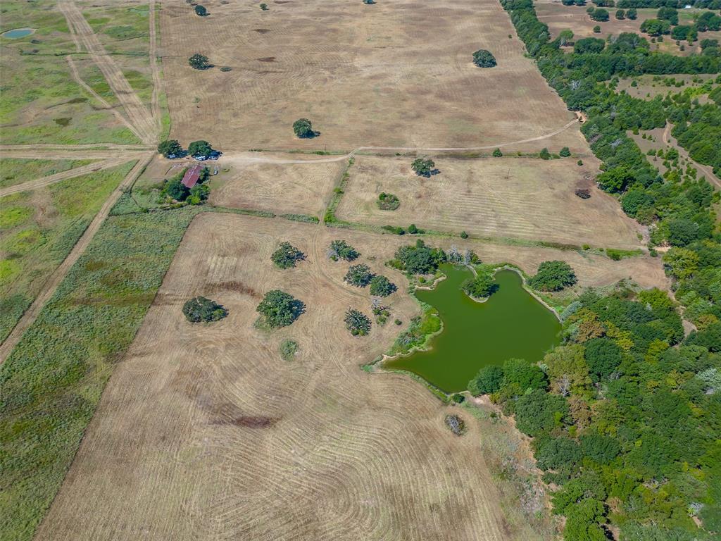 Juana Delgado Surv Abs #276 - Farm