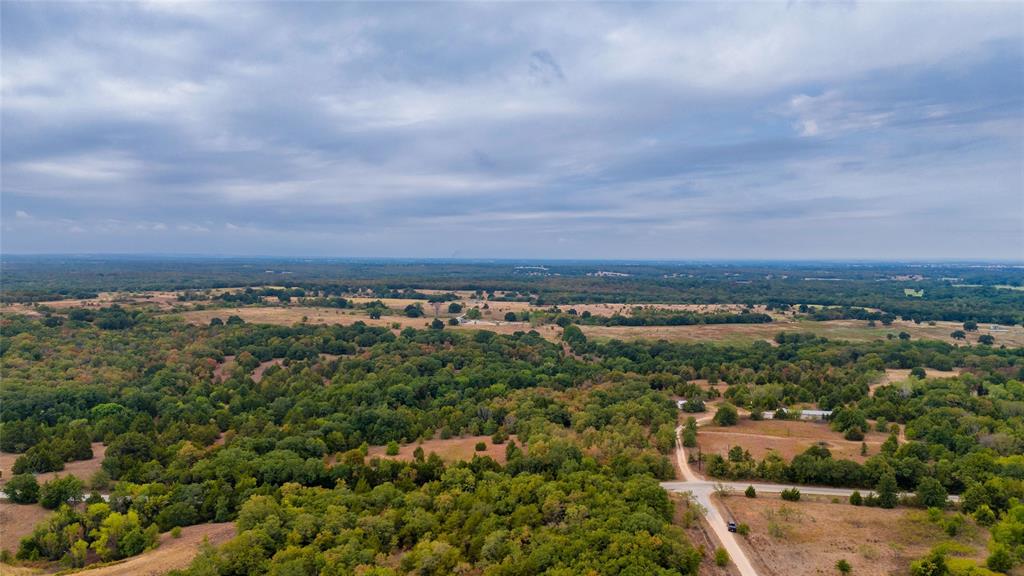 Dallas County School Land Surv - Land