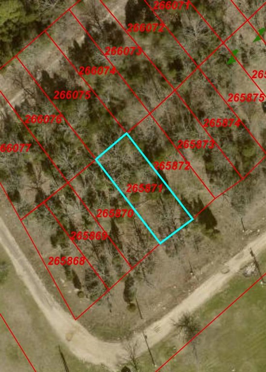Great opportunity to purchase a buildable lot in Henderson County! This property can be purchased individually or bundled with additional available lots for investors looking to expand their portfolio. The lot features a level layout with scattered mature trees, creating a beautiful setting for a future homesite or a long-term hold. Located within an established subdivision, it offers a peaceful, rural atmosphere while remaining conveniently accessible to nearby highways, towns, and Cedar Creek Lake. Owner financing is available, making this an excellent opportunity for buyers seeking flexible purchase options.