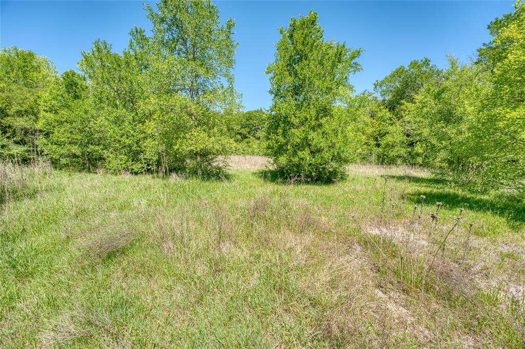 0 County Road 1036