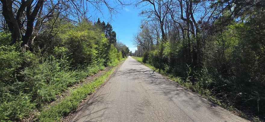 Beautiful 3-acre property. Mix of cleared and wooded areas. This property offers multiple options for a homesite with great opportunity for privacy and seclusion. Water and electricity are available at road. Not in a flood zone. Conveniently located just 15 minutes from Greenville.