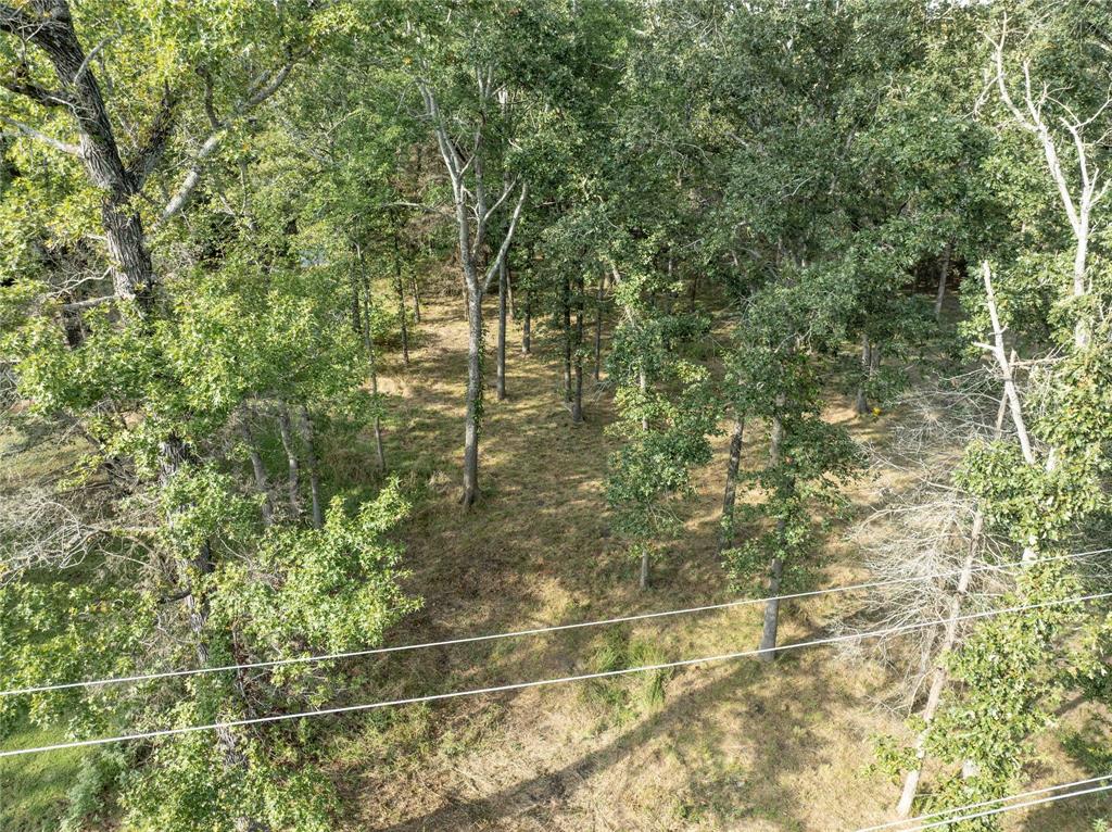 Callender Lake IV - Land