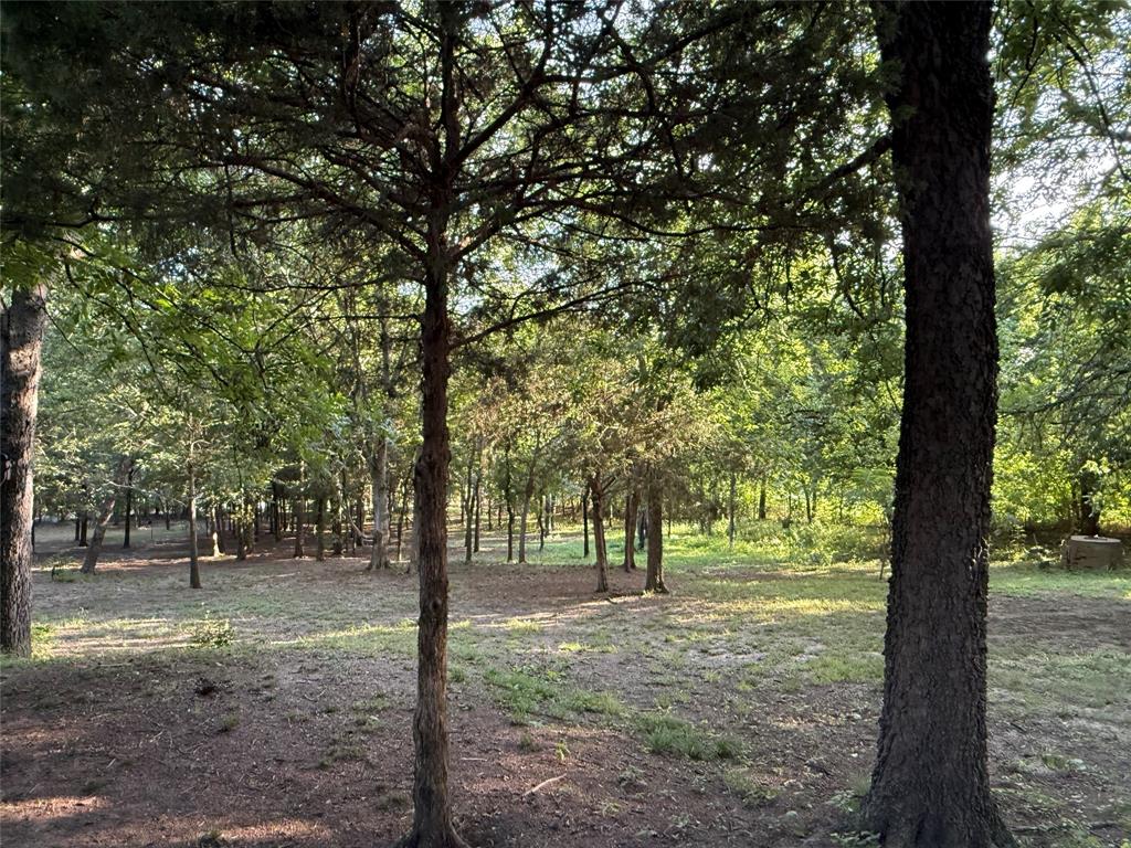 Calvin Boles Surv Abs #28 - Land