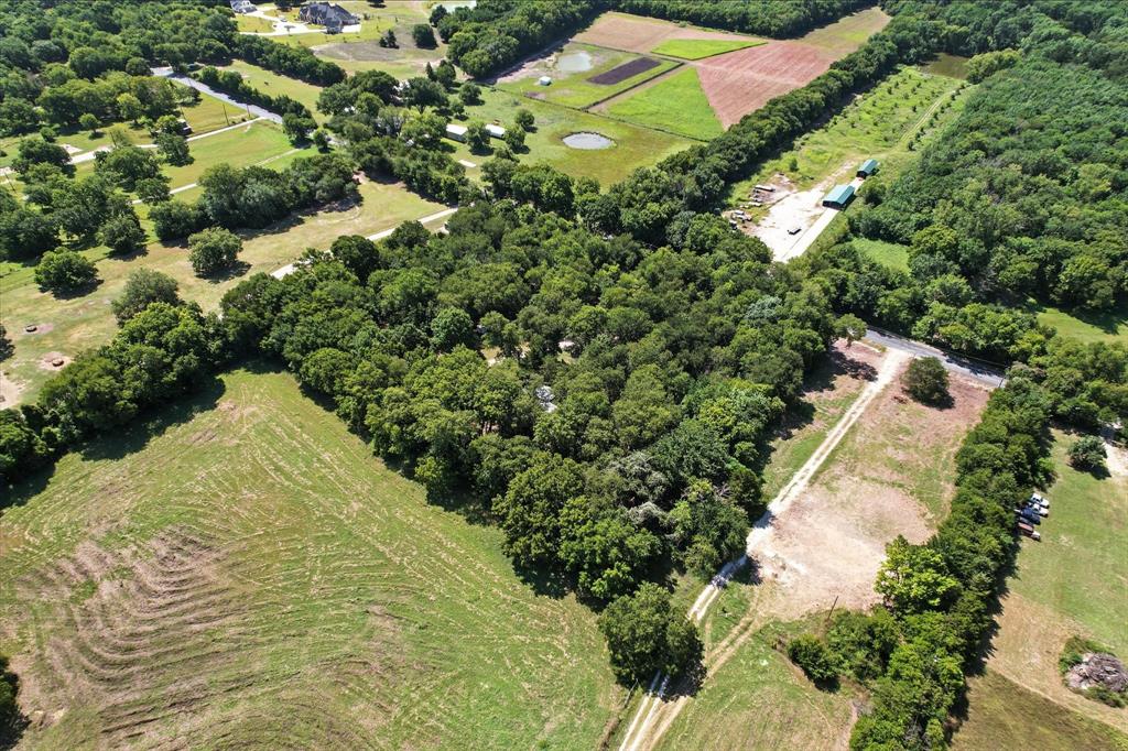 Calvin Boles Surv Abs #28 - Land