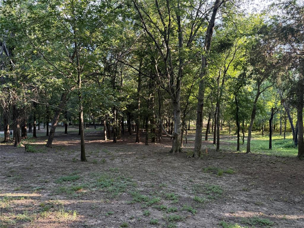 Calvin Boles Surv Abs #28 - Land