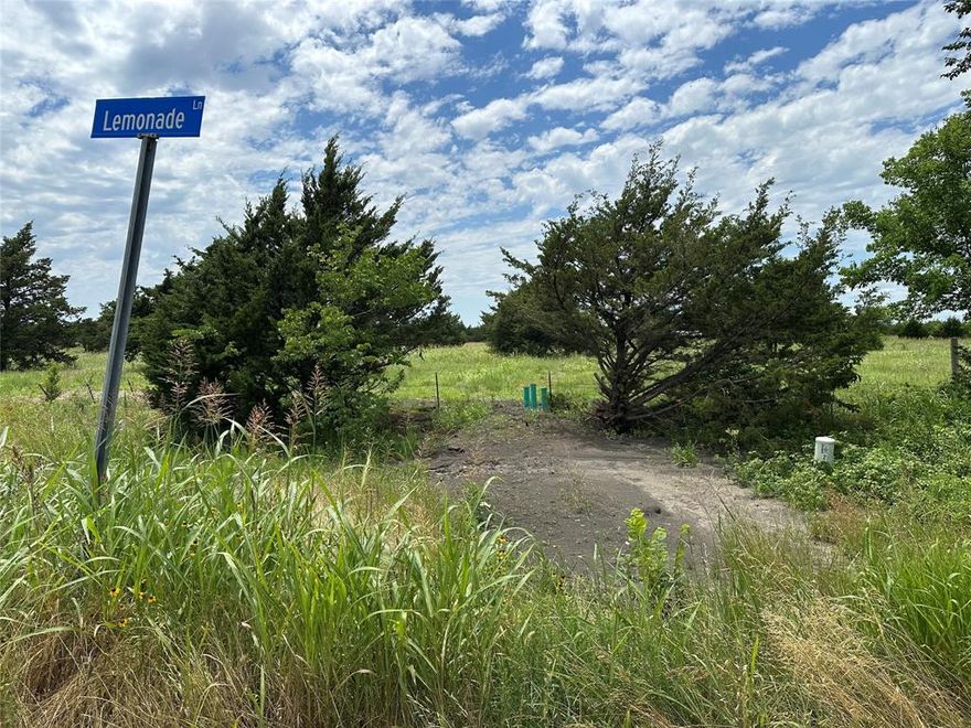 Come see these beautiful lots! There are 8 lots total that are all 1+ acres each. No flood! An upgraded water line was just install so capacity won't be an issue. They are ready to build your forever home on.