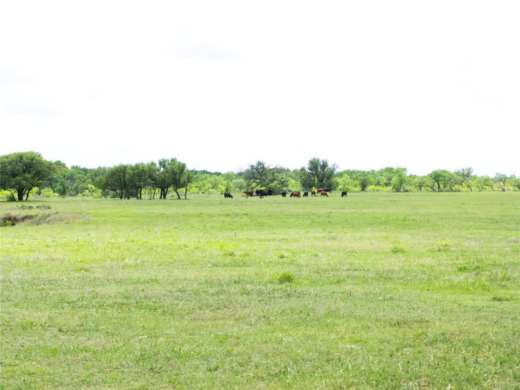 UNK - Farm
