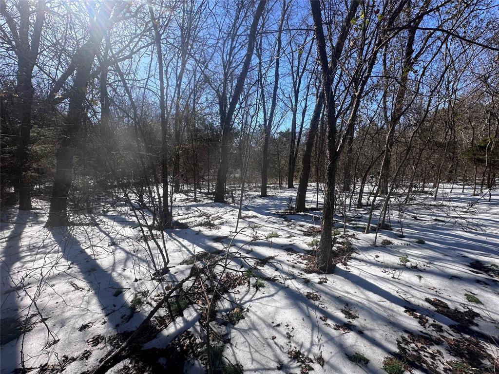 McKinney Meadows - Land