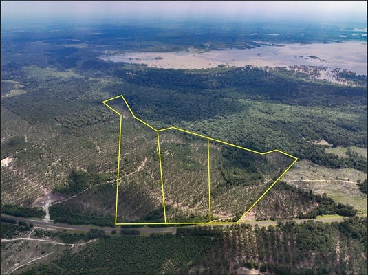 0 FM 92, COLMESNEIL, TX 75938 - Image c7fc762d439e1fb14408230a139c8cff/2307256307