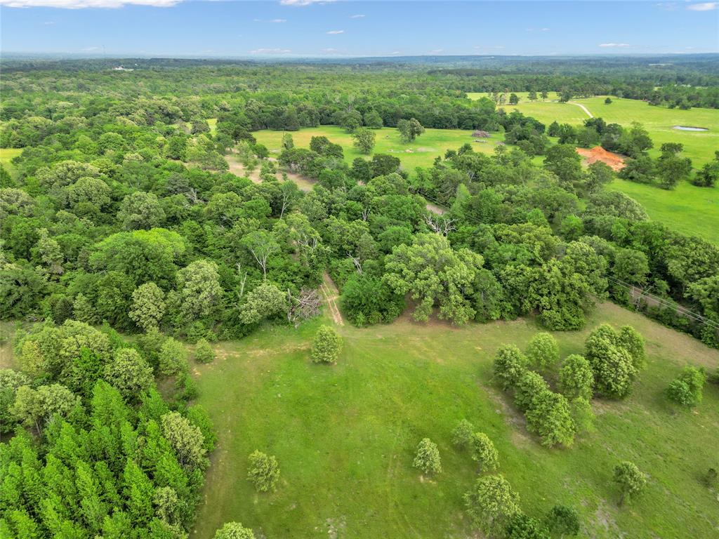 M Hunt Surv Abs #381 - Land