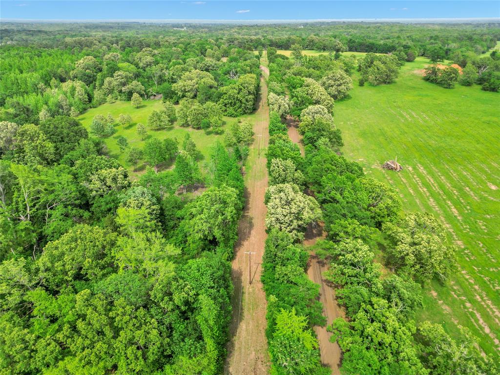 M Hunt Surv Abs #381 - Land