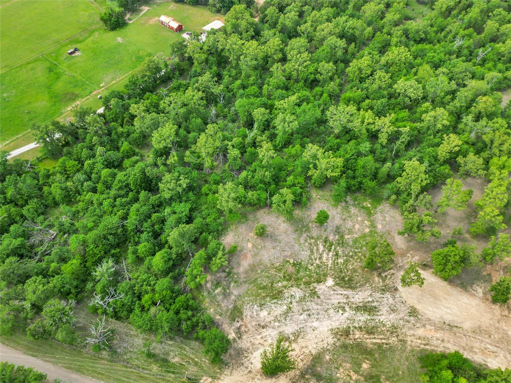 M Hunt Surv Abs #381 - Land