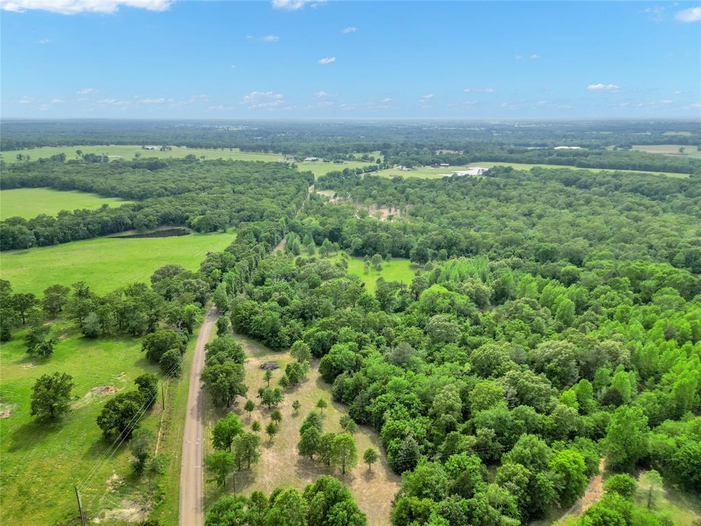 M Hunt Surv Abs #381 - Land