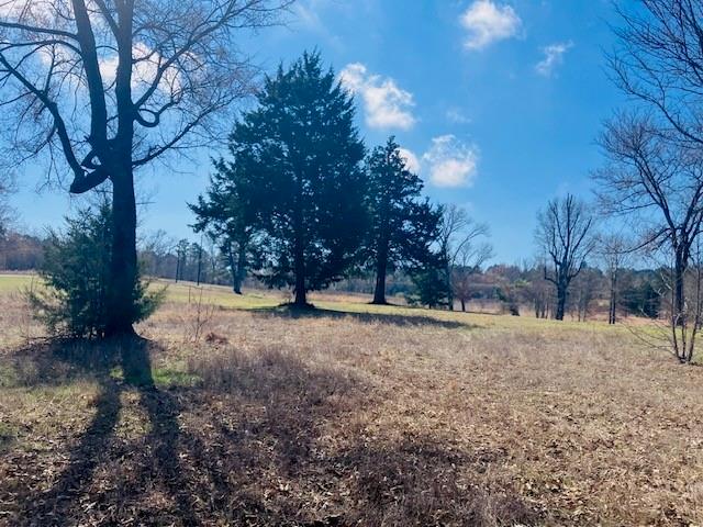 Star Mountain Ranch - Land