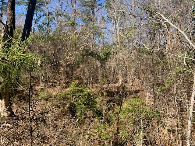 Star Mountain Ranch - Land