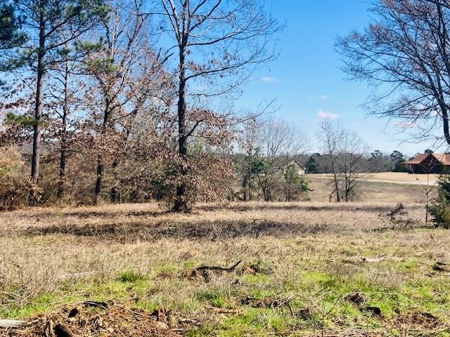 Star Mountain Ranch - Land