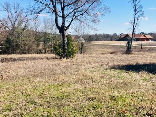 Star Mountain Ranch - Land