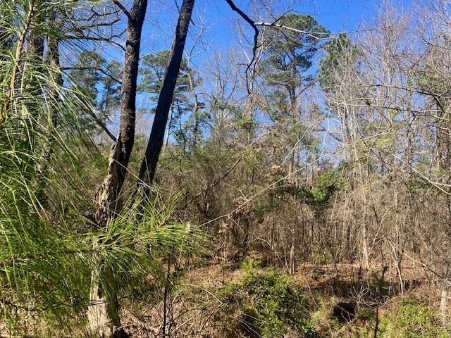 Star Mountain Ranch - Land