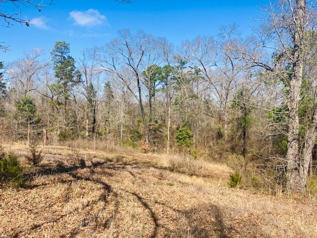 Star Mountain Ranch - Land