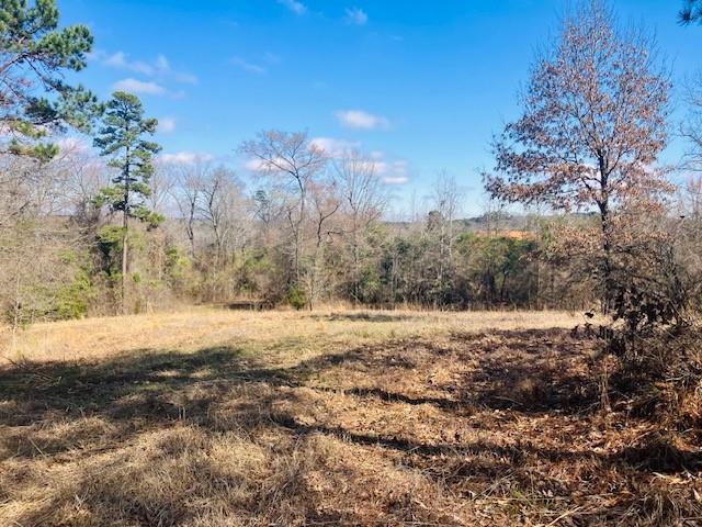 Star Mountain Ranch - Land