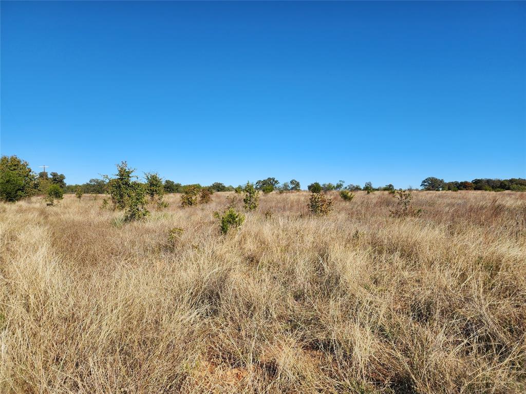 18798 County Road 441