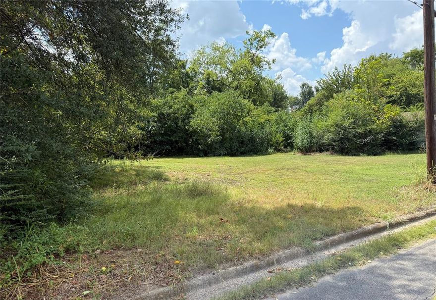 Home builders and investors, here's a spacious lot to build a spec home on. Good price with other new construction nearby. Zoned Single Family. Water and electricity are available. Located just steps from Pacific Park which includes a new playground, covered basketball courts, walking path, outdoor workout area and more.