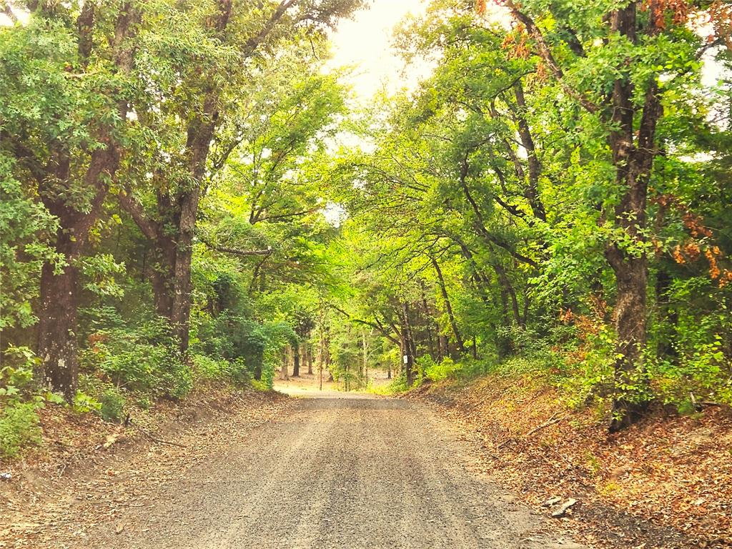 Safari Waters Ranch - Land