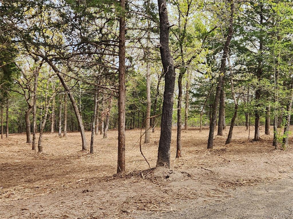 Safari Waters Ranch - Land