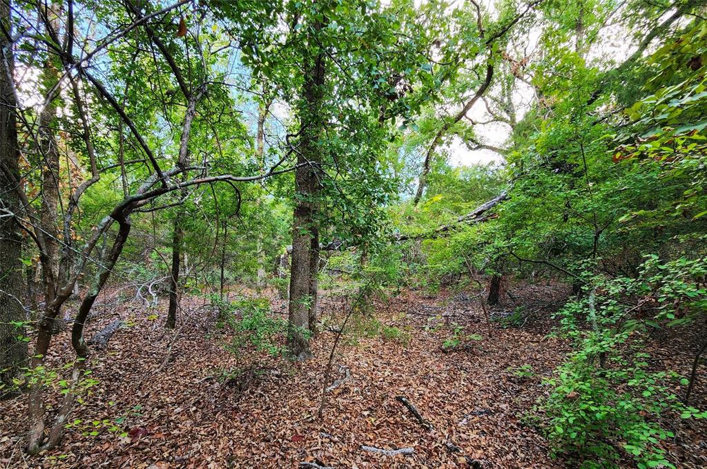 Safari Waters Ranch - Land