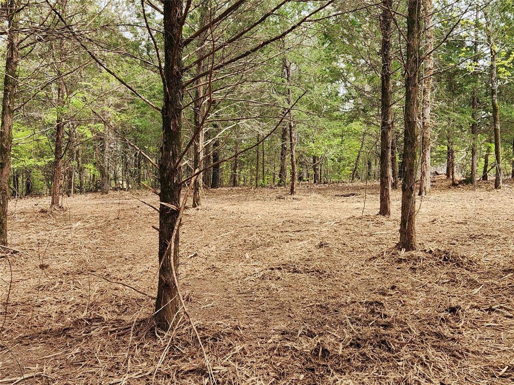 Safari Waters Ranch - Land