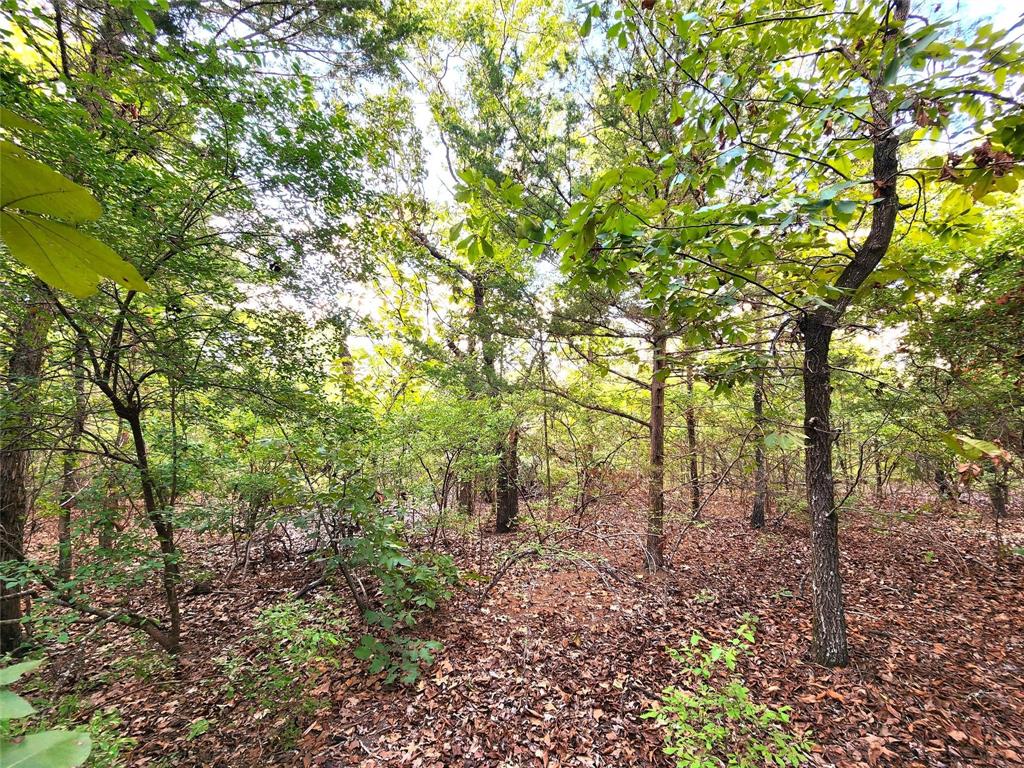 Safari Waters Ranch - Land