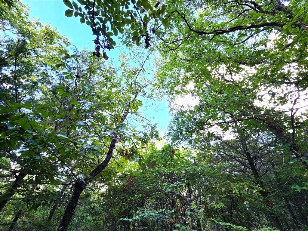 Safari Waters Ranch - Land