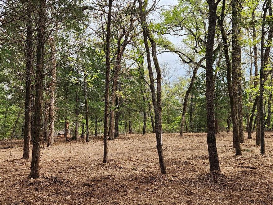 Lot 465 is a beautiful 5.009-acre wooded lot outside the fenced-gated section of Safari Waters Ranch. The front approximately 1 acre of this property has a really nice half-tabletop hilltop feature that would make a gorgeous home site. This area overlooks the additional four acres of land below.  Heavily wooded lot with lots of deer visits! The front acre of this property has been cleared of brush, but the seller left all the trees for the next owner! The curb appeal of this lot is really something! The property owner will have access to the gated community of Safari Waters Ranch, across Hwy 175, where deer, zebra, and other exotics roam 1,800 acres. Low POA maintenance fee. This lot is located on a county-maintained blacktop road approximately 12 miles south of Athens, TX. There are three private lakes at Safari Waters Ranch. Numerous community common areas, RV parking at Camp Safari & dry storage are available for your trailer-RV. Own a piece of this East Texas paradise. You just have to see this community and all the natural beauty, you'll be proud to call this one your own. Close to Athens, TX, but still feels like you live in the country. Bring your boat and pole for trophy bass fishing!  Great community to call home! NOTE: Lot 466 nextdoor is also for sale. This provides a chance to purchase both lots to acquire just over 10 acres. See NTRIS MLS # 21086878 for more information.