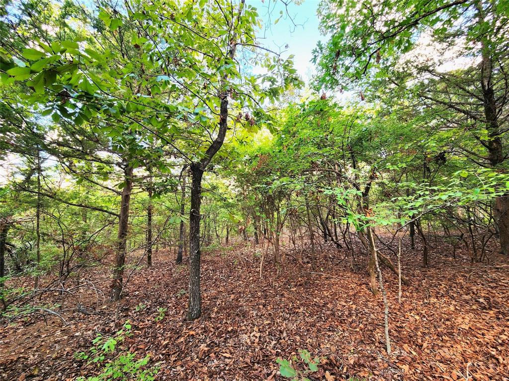 Safari Waters Ranch - Land