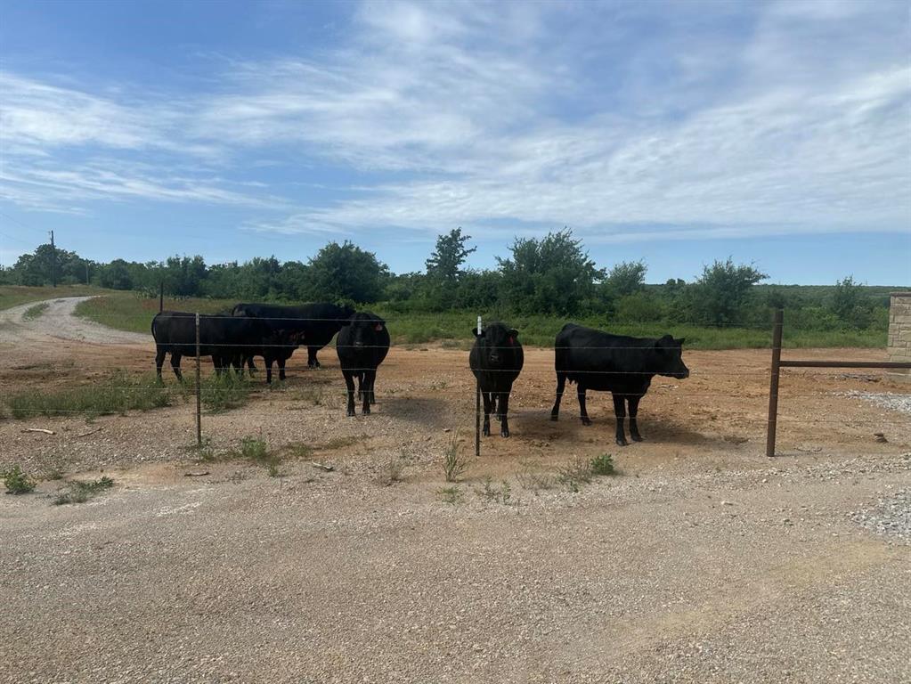 Paradise Oaks Ranch - Land