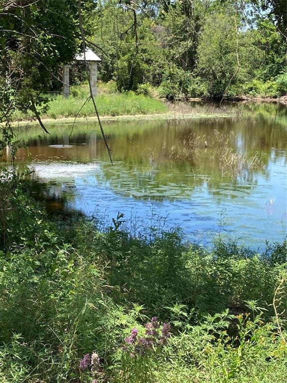 Sunrise Mountain Ranch - Land