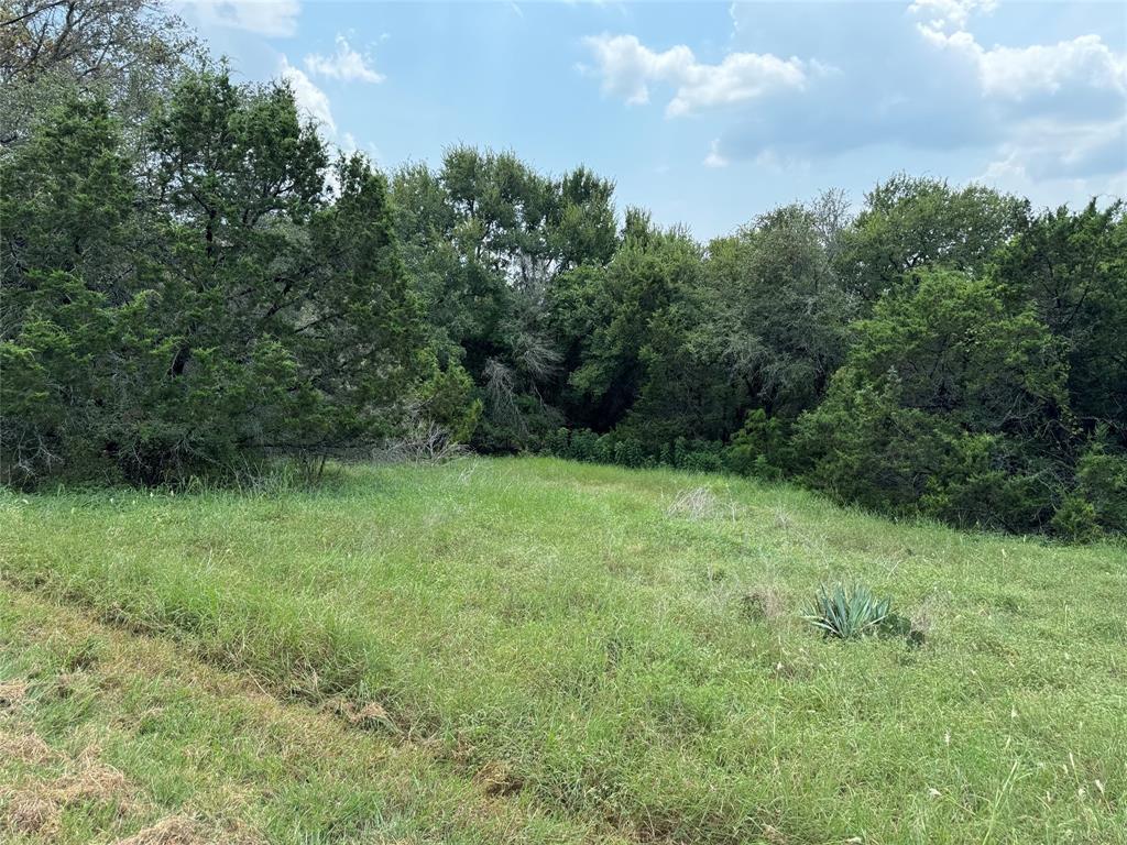 White Bluff #15 - Land