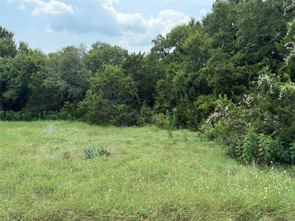 White Bluff #15 - Land