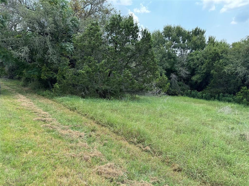 White Bluff #15 - Land