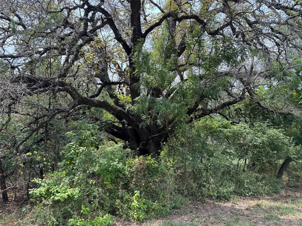 White Bluff #15 - Land