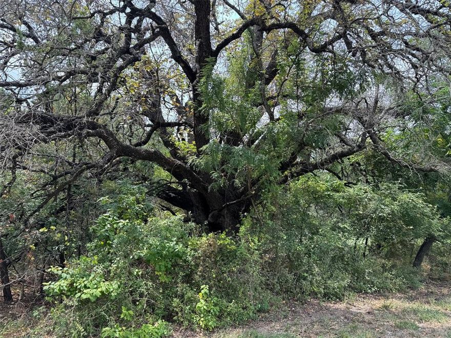 Interior lot located just a short walk to the marina waterfront.  This lot has the campground & baseball park behind it. Come enjoy community living with the deer, turkey and even a few bobcats roaming. Venture on down to the marine and watch the sunsets over gorgeous Lake Whitney.  Owning a lot in White Bluff Resort gives you 36 rounds of golf a year, use of swimming pools, tennis courts, and the privilege to meet and make some wonderful friends. Build your dream home, rather a permanent residence or weekend get-away. Custom builders are ready to build from your plans or their own. If you choose not to build, that's okay too. So many amenities to enjoy as an owner.