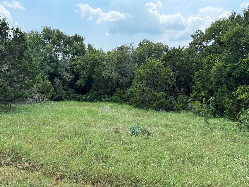 White Bluff #15 - Land