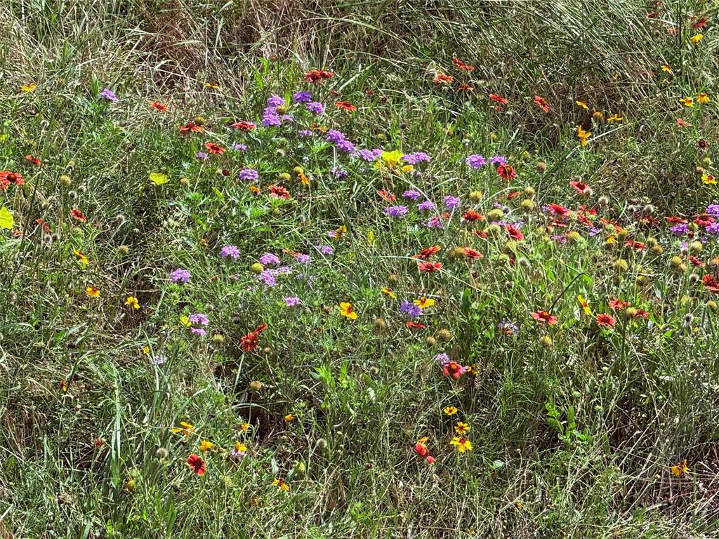 The Ranches at Star Hollow - Land