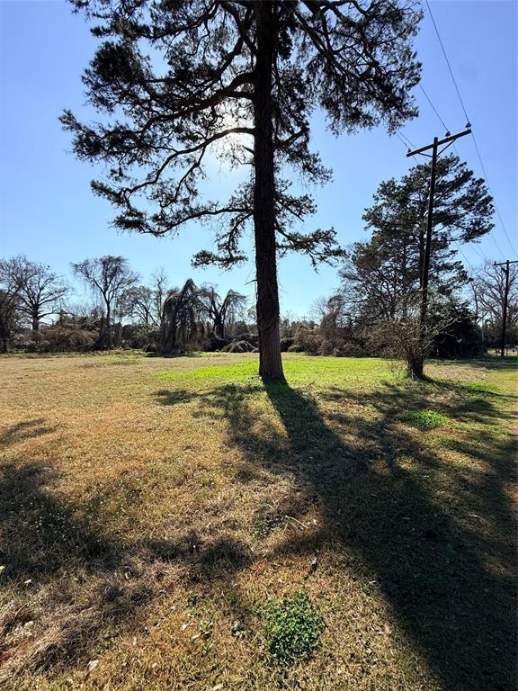 2206 Twitchell Street