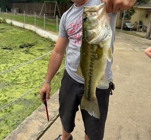 Oak Lakes - Residential