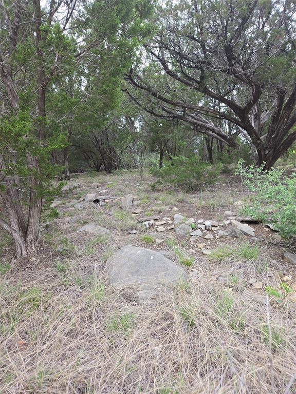 Lot 913 Cinnamon Teal