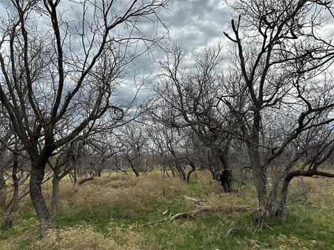 Tract 13 AC CR 105 Abilene TX 79601