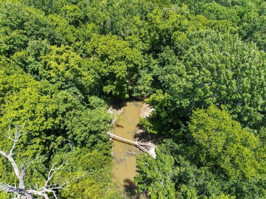 E R Merrell Surv Abs #639 - Land